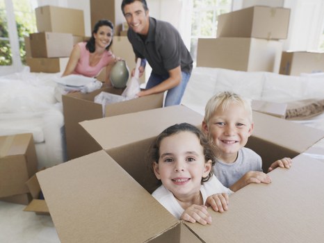 Man and van service terms and conditions document with booking and payment clauses