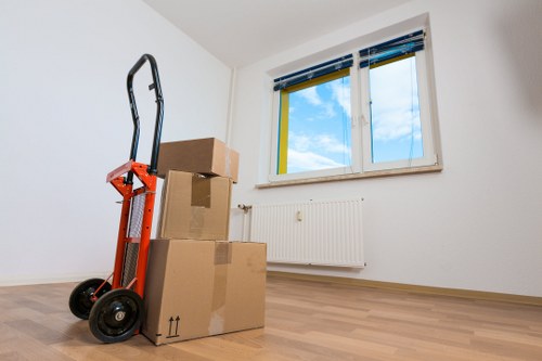 Packed boxes and furniture prepared for local storage